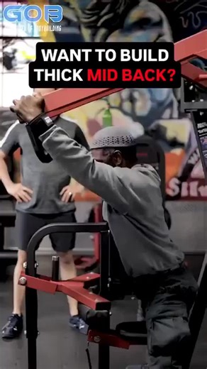 Transform Your Mid-Back with Expert Training Plans