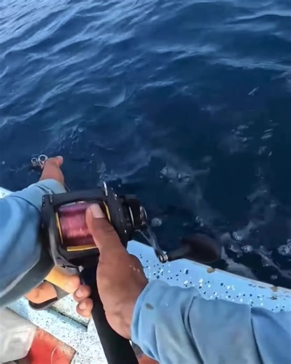 Tuna fishing takes patience, skill, and respect for the ocean. It’s most successful when done responsibly—using the right gear, following size and catch limits, and avoiding overfishing. When managed well, it supports both livelihoods and healthy marine ecosystems.