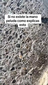 #gato #terror #historia #paranormal #animal | COCO LEMUS