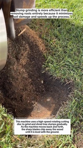 Super Fast Tree Stump Cutter Machine