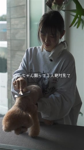 ゆう&しょう｜愛犬とジムニーキャンプ on Instagram: "もっと早く出会いたかった…🐶✨ ドライ時間のストレスが一気に減った。 シャンプー後の ✔ 片手ドライ ✔ 逃げる ✔ 腕しんどい ✔ 乾かしムラ これ全部、 **HUG AIR（ハグエアー）**で解決。 首や肩に掛けられるフレキシブルホルダーで両手が空くからブラッシングしながら乾かせるのが最高すぎた👏 しかも ・ハンズフリー ・スタンド ・ハンディ 3WAYで使えるからシーンに合わせやすい◎ 風がやさしくて音も控えめだから、うちの子も前より落ち着いてドライできたのが嬉しいポイント🐾 愛犬とのドライ時間が「作業」から「快適な時間」に変わった！ 今、Makuakeで先行販売中👇 気になる人はぜひチェックしてみてね🔍 @elecom.pet @elecomjp ⬇️Makuakeリンク https://www.makuake.com/project/hugair/ #PR #HUGAIR #ハグエアー #犬キャンプ #キャンプ女子"