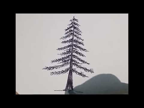 Easy to draw a pine tree in pen | How to draw a pine tree in pen for beginners | draw a pine tree