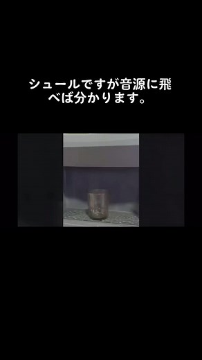 世の中の男性へ音源へ飛んでください。#マスクドシンガーは誰だ #おんげんにとべ #バズりたいお年頃