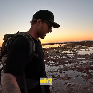 7.5K views · 143 reactions | HUNTING FOR FOOD - FIELD DAYS MERCH NOW ON WWW.FIELDDAYSSHOP.COM  | Field Days | Facebook