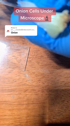 Exploring Onion Cells Under a Microscope