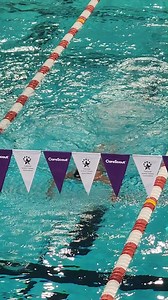 Why I Sport: Featuring Philipp Djang Philipp got into swimming as a youth because of him mom. He also followed her into senior sports. For Philipp, it's all about the camaraderie. #worldseniorgames #activeaging #activelife #theseniorworldchampionships | Huntsman World Senior Games