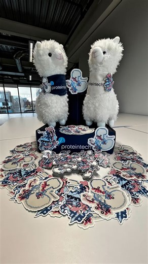 Proteintech Group on Instagram: "WIN science-inspired stickers & pins! 🧬✨ We have teamed up with @idustrate to create limited-edition designs of TDP-43 and GAPDH, based on their protein structures from our 3D Epitope Viewer. These proteins are key research targets, and the antibodies for both are among Proteintech’s most-cited. 25 winners will receive a TDP-43 or GAPDH sticker, and a few lucky entries among them will get an enamel pin! How to enter (17–30 Nov): ✅ Follow @proteintech and 