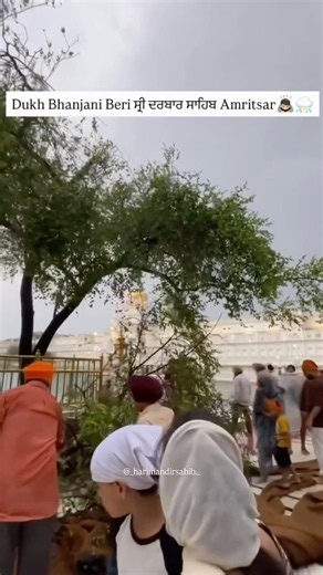 ਸ੍ਰੀ ਦਰਬਾਰ ਸਾਹਿਬ #gurbani #simran #fypシ