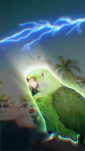 Ultimate Car Show Highlights! 🏁🔥