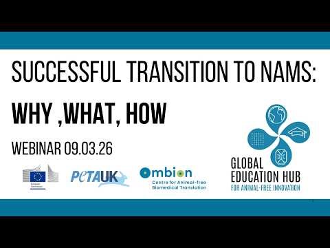 Successful transition to NAMs: Why, What, How.