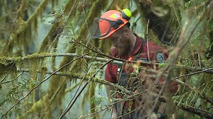 Fire season kicks off early in 2024 ahead of April 1st start