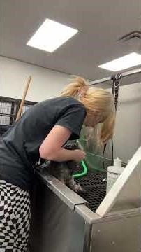 Grizz gets hit monthly haircut!