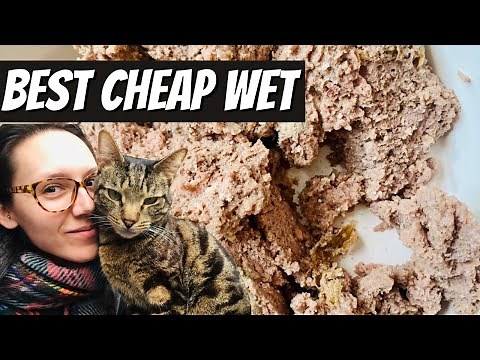 Best wet cat food to get your cat off of kibble