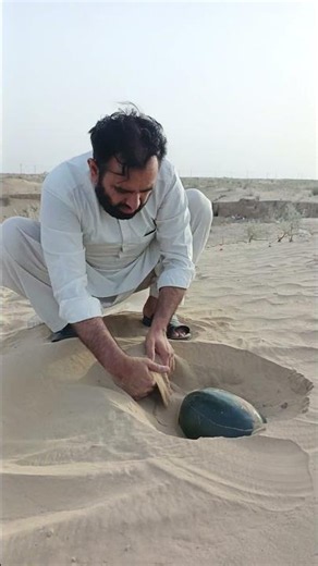 extracting watermelon🍉 under Sand Desert 🏜️ #survival #camping #outdoors #lifehacks #experiment