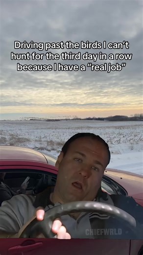 I hate it here #waterfowl #geese #Meme #fyp | geese