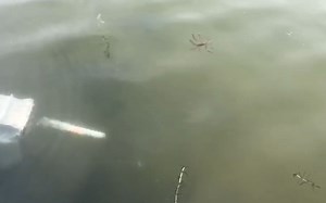 【模型】遥控潜艇和鱼雷发射