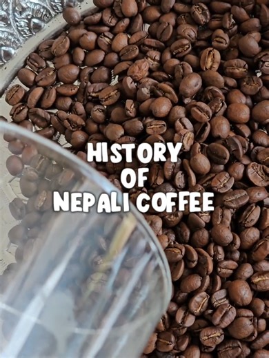 1️⃣ Blended Regional Coffee (Kavre Sindhupalchowk) Caption Option: Smooth ☕ Balanced ☕ Everyday Nepali Arabica 🇳🇵 Blended from Kavre & Sindhupalchowk 🌄 Rs. 2800/kg | Delivery: 120/200 2️⃣ Single Region Coffee (Lalitpur) Caption Option: Depth, richness & chocolatey goodness 🍫☕ Single Region Lalitpur Arabica 🇳🇵 Rs. 3000/kg | Delivery: 120/200 #PanamCoffee #fyp #nepalicoffee #blendedcoffee #singleorigincoffee