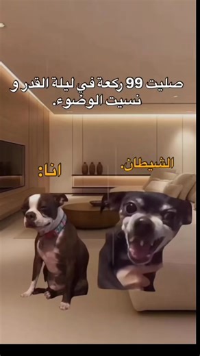 Vidéos de Abderrahman Arodan (@abderrahman.arodan) avec son original - Abderrahman Arodan