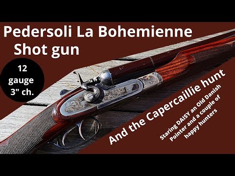Pedersoli La Bohemienne shot gun and the Capercailliehunt