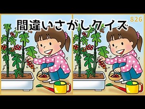 [Find the Difference Quiz] Summer Recreation! Free Brain Training Game [For Seniors] #826