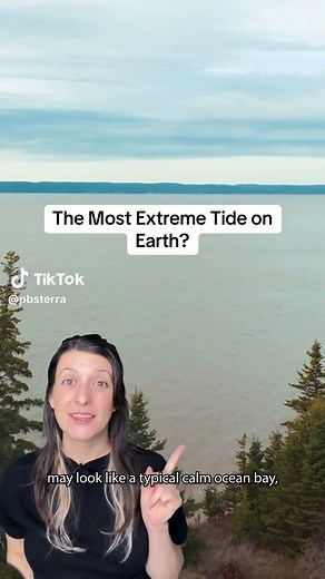 Inside Canada’s Bay of Fundy, 160 BILLION tons of water rush in and out daily, creating the most extreme tides on Earth. Scientists now think this force could help power our future. #nature #bayoffundy #canada #weather @PBS Nature @Atlas Obscura