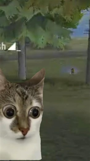 Wtf Moment In Free Fire Tournament