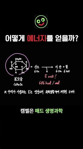 (Metabolism) How do we get energy from nutrients? #Glucose #FattyAcid