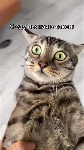 Jack Sheppard (@arnoldshortman749)’s videos with оригинальный звук - Jack Sheppard