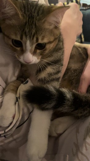 Cuddle Moments: How to Comfort Your Child to Sleep