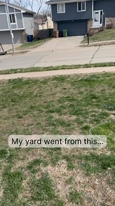 This brand new sod has completely changed the look of our front yard! We were originally going to plant seed, but didn’t want to be without a lawn for the weeks it would take to grow in.I love how good it looks! And for only $300, it was a screamin’ deal! Head over to the blog for the full details on how I was able to get it for so cheap! https://crystelmontenegrohome.com/easy-guide-to-laying-sod/ #sod #yard #yardmakeover #diy #sodinstall #doityourself #beforeandafter #somuchbetter | Crystel Mon