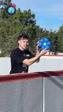 Which Ball Will Bounce The Highest!?