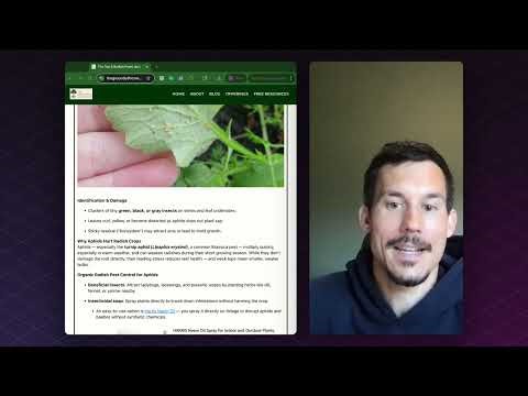 The Top 5 Radish Pests (and How to Stop Them Organically)