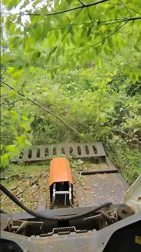 72” Wolverine brush cutter on bobcat t550 #bobcat #excavator #work #mulching #excavating #skidsteers