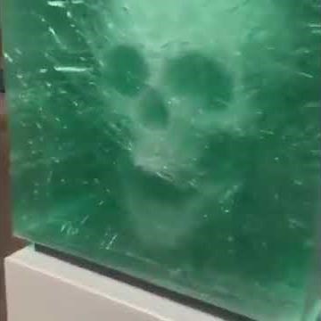 bad to the bone skull meme