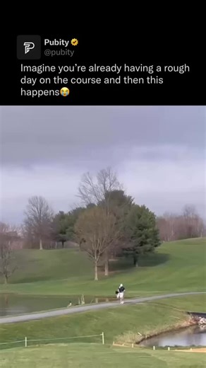 Pubity on Instagram: "⛳️ Geese can be surprisingly aggressive when protecting their nests or young, and they sometimes attack people who come too close. While their hissing, wing-flapping, and chasing are mostly meant to scare rather than injure, it’s best to keep a safe distance and respect their space to avoid unwanted encounters. In one video, a golfer learned this the hard way when a goose charged at him on the course. As he tried to run away, the goose kept attacking, and in the chaos, he s