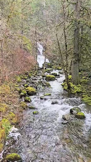 Sooke Potholes #meanwhileinsooke #explorebc #sooke #explorecanada #yyj | Meanwhile in Sooke