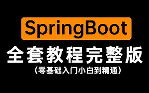 B站最强2021新版SpringBoot教程 全程有废话我直播吃纸,你值得看！