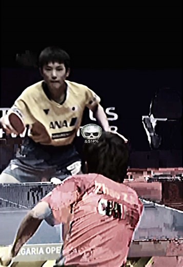 Top Table Tennis Highlights and Skills