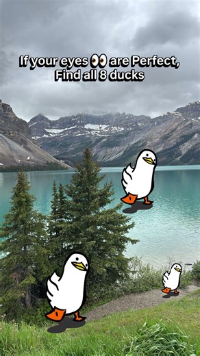 Can you find all 8 ducks? #challenge