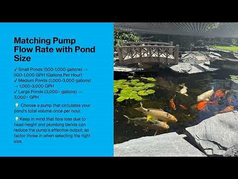 How to Choose the Right Pond Pump? | Best Pump for Koi Ponds, Waterfalls & Filtration