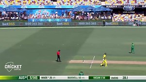 146K views · 351 shares | Glenn Maxwell led Australia's fightback against Pakistan with a composed half-century at the Gabba | Cricket Network | Facebook