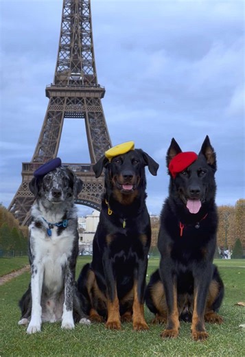 Adventures of a 5-Month Journey in France