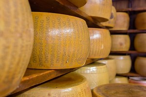 A Guide to the King of Cheeses, Parmigiano-Reggiano