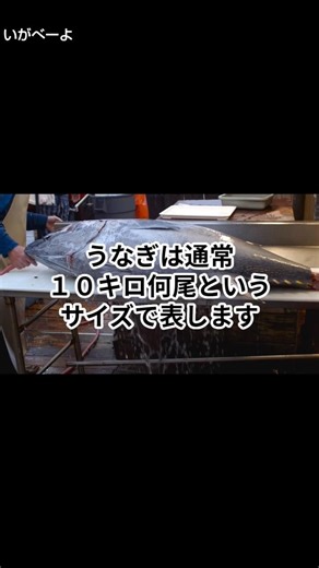 うなぎの価格隠し #鰻 #冷凍食品 #うなぎ #雑学 #業務用食品 #トリビア #豆知識 #知らなかった #スーパー #ショート