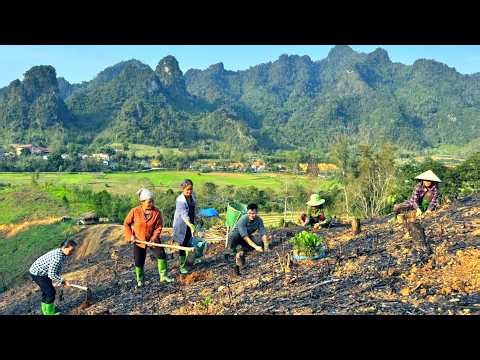 Simple joys: DAU joins hands to help people replant trees after harvesting timber.