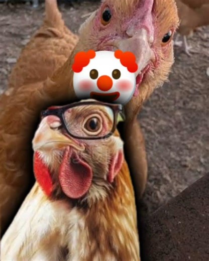 Making random edits pt.1