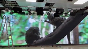 Qiangli P2.5 LED Module High Quality Full Color P2.5 Outdoor LED Display Module 320*160mm
