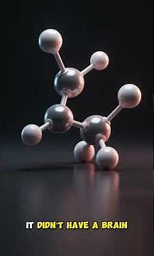 Did Know this? Primordial earth and how life emerges in the beginning? Documentary by HistoPrimordia