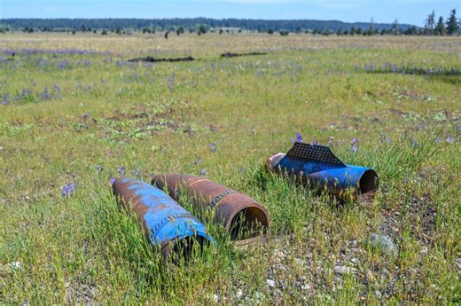 Guarded by JBLM and Chief Leschi's spirit, these South Sound prairies endure
