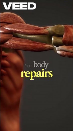 This Is Why Muscle Burns Calories 24/7 (Not Cardio) | Strength Training Wins
